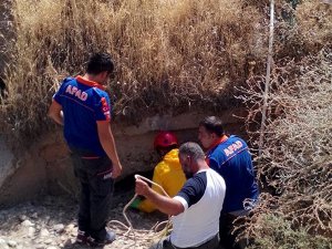 Yaralı köpeği AFAD ekibi kurtardı