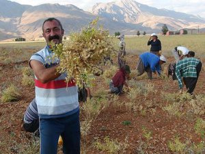 Başkan Maçoğlu'ndan evi yanan aileye yardım