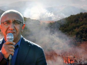 Dersim Milletvekili Önlü, orman yangınları için Meclis araştırması istedi