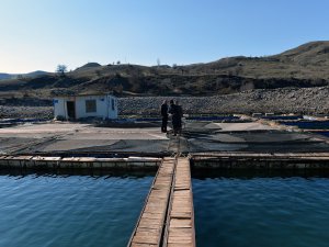 Tunceli kafes balıkçılığında iddialı