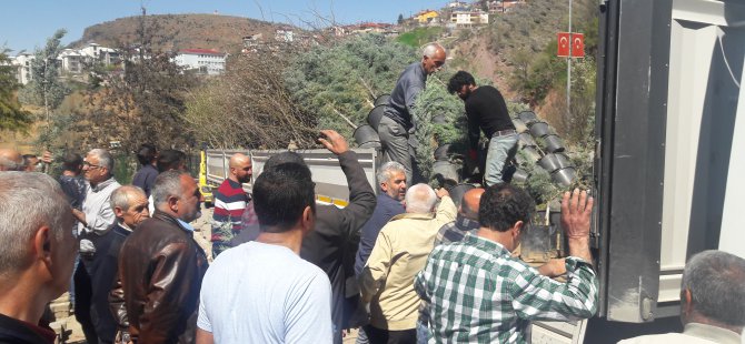 Bursa’dan Dersim’e ücretsiz bin fidan VİDEO HABER