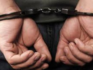 Tunceli'de 1 kişi tutuklandı