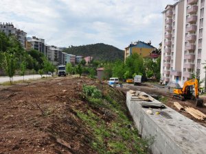 "Demiroluk Varyant Düzenleme" çalışması sürüyor