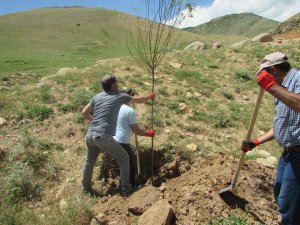 Hozat’ta ağaçlandırma çalışmaları sürüyor