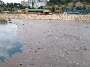 Munzur ve Pülümür Çayı temizlendi