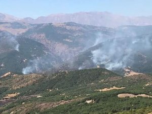 DAD Ankara Şubesi: Dersim’de çıkarılan yangının söndürülmesi engelleniyor