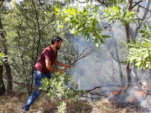 Çevre aktivistleri, yangını söndürmek için çalışıyor