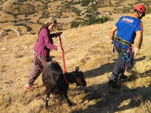 AFAD ekipleri mahsur kalan keçiyi kurtardı