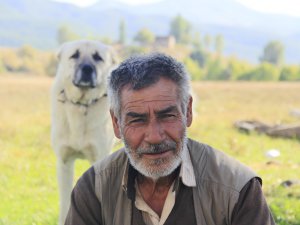 Şanlıurfalı çobanın ekmek mücadelesi