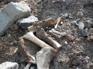 Yeni Mahallede insan kemikleri bulundu