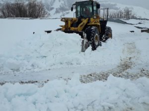 Dersim'de kar tatili