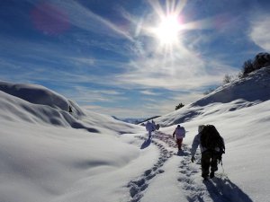 Tunceli'de teröre büyük darbe