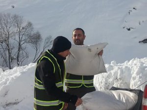 Yaban Hayvanları İçin Yem Desteği