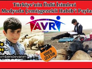 Ünlüler ve vatandaşlardan Habib için birlik çağrısı