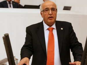 HDP Milletvekili Özen'den Dersim için teklif