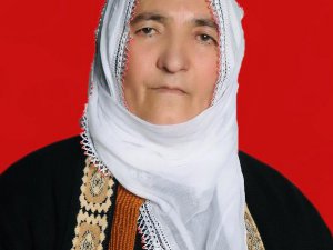 Anne oğul cinayetinde 1 kişi tutuklandı