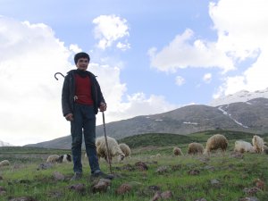 Çobanların zorlu mesaisi başladı