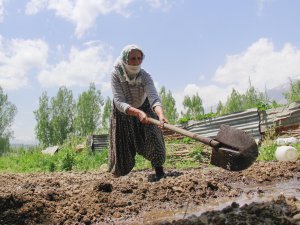 Ovacık'ta foto safari heyecanı