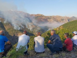 Orman yangınında güvenlik güçleri suçlu bulundu