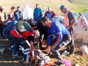 Ekipler yaralı çoban için seferber oldu