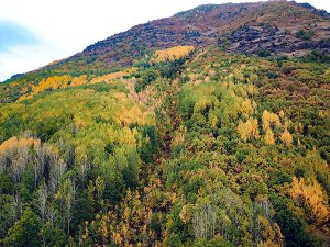 Dersim ormanları sonbahar renkleriyle bir başka güzel