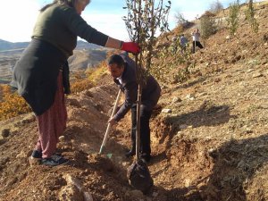 Hozat Belediyesi, fidanları toprakla buluşturdu