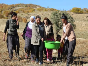 Köyde kadınlar imalathane kurdu, doğal meyvelerle üretime başladı