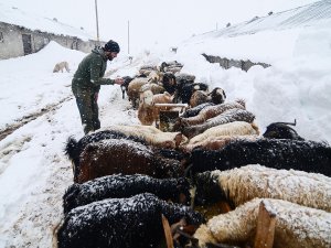 Besicilerin zorlu kış şartlarıyla mücadelesi