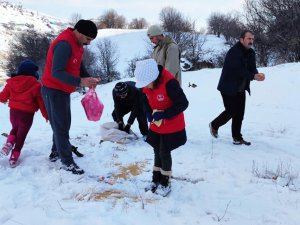 Yaban hayvanları için doğaya yem bırakıldı