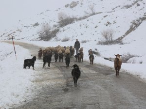 Kar yağışı etkili oldu, 32 köy yolu kapandı