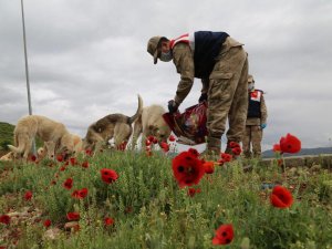 Vefa grubu sokak hayvanlarını besliyor