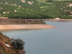 Gülistan Doku'dan 150 gündür haber alınamıyor