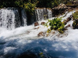 'Munzur Gözeleri' için imza kampanyası