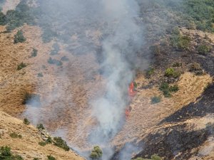 Dersim’de orman yangını