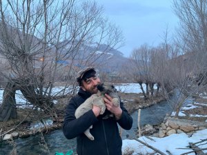 Dersim’de sokak hayvanları için iyilik mesaisi