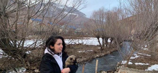 Dersim’de sokak hayvanları için iyilik mesaisi