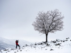 Karla kaplanan doğa kartpostallık manzaralar oluşturdu