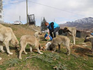 Sokak hayvanlarına vefa