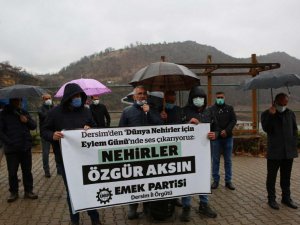 EMEP Dersim İl Örgütü: Sermayedarlar doğamızı yaşanamaz hale getirdiler