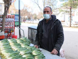 Gulik otu tezgahlardaki yerini aldı