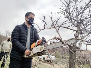 Çemişgezek’te menengiç ağacında Antep fıstığı yetişecek