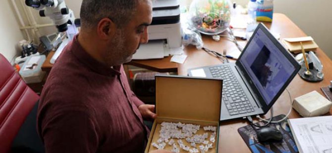 Dağlarda böceklerin izini süren akademisyen yeni türler tespit ediyor