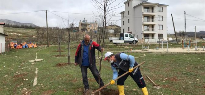 Park bahçe ekiplerinden ağaç budama çalışması