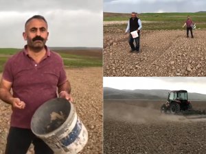 Görevden alınan Peri Belediye Başkanı Çelebi’den susam ekimi
