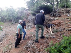 Çukurda mahsur kalan köpek kurtarıldı