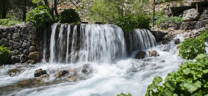 Doğa tutkunlarının gözde adresi "Munzur Gözeleri'nde ilkbahar güzelliği
