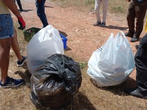 Çevreciler hem halay çekti hem de çöp topladı VİDEO