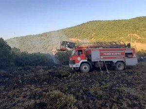 Ormanlık alana sıçrayan yangın büyümeden söndürüldü