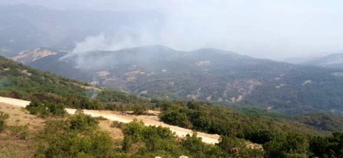 Dersim'de 1 ay boyunca ormanlara giriş yasağı