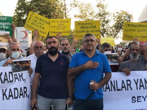 DEDEF'ten tepki: Orman yangınlarına acilen müdahale edilmeli